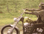 easyrider :easyrider: