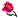 Rose :rose: