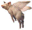 pigsfly :pigsfly: